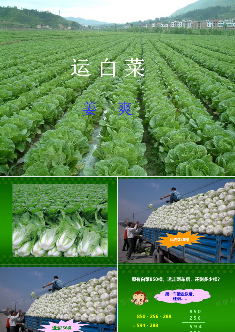 运白菜精选教学PPT课件