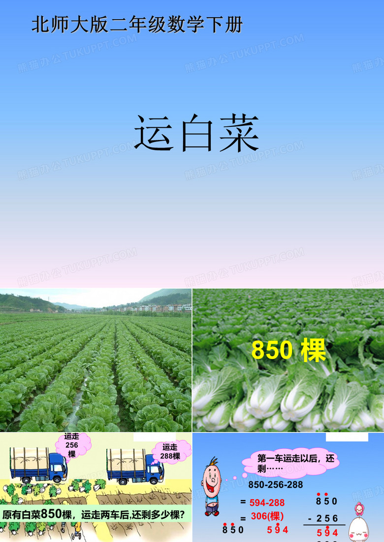 北师大版二年级数学下册《运白菜》