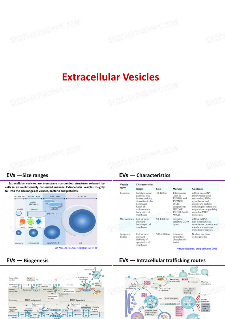 外泌体简介Extracellular vesicles