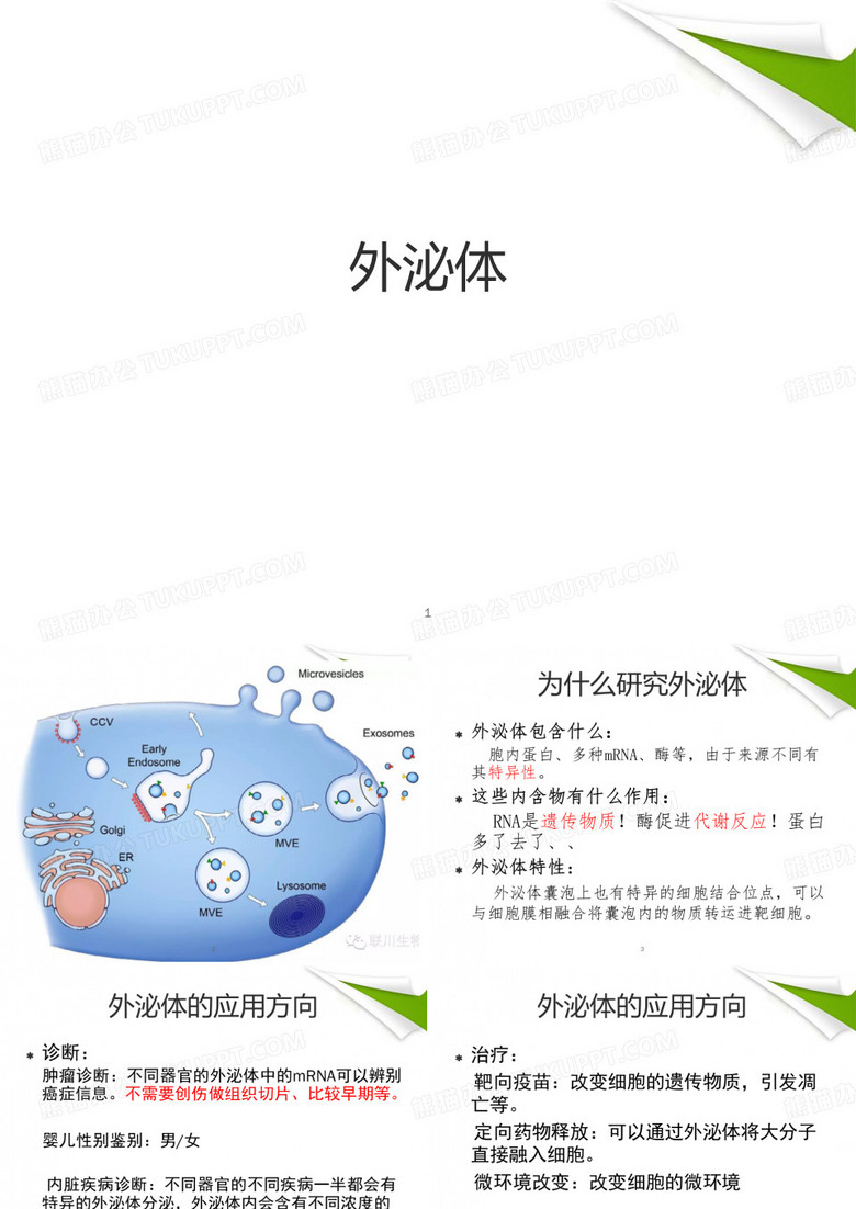 外泌体PPT优质课件