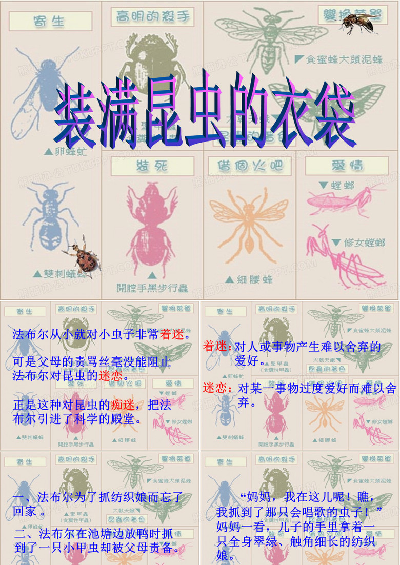 装满昆虫的衣袋
