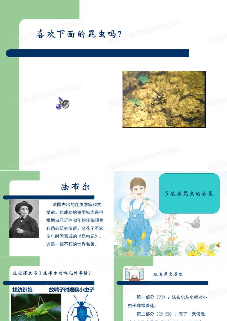 装满昆虫的衣袋