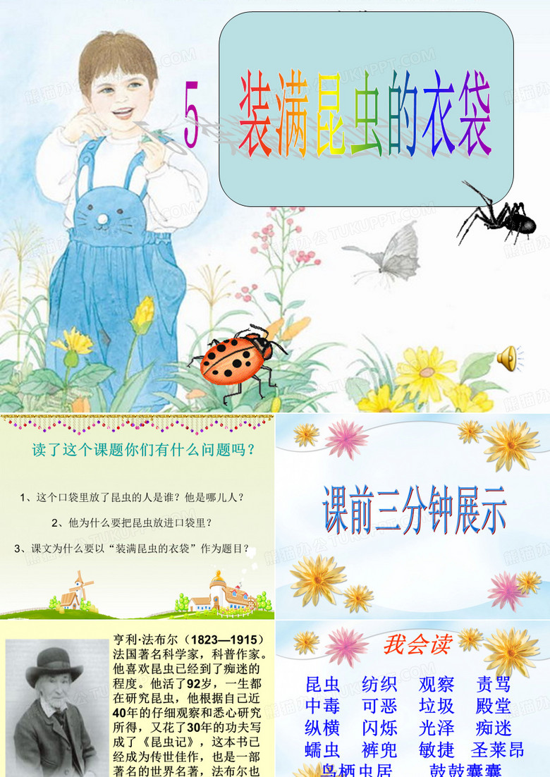装满昆虫的衣袋课件