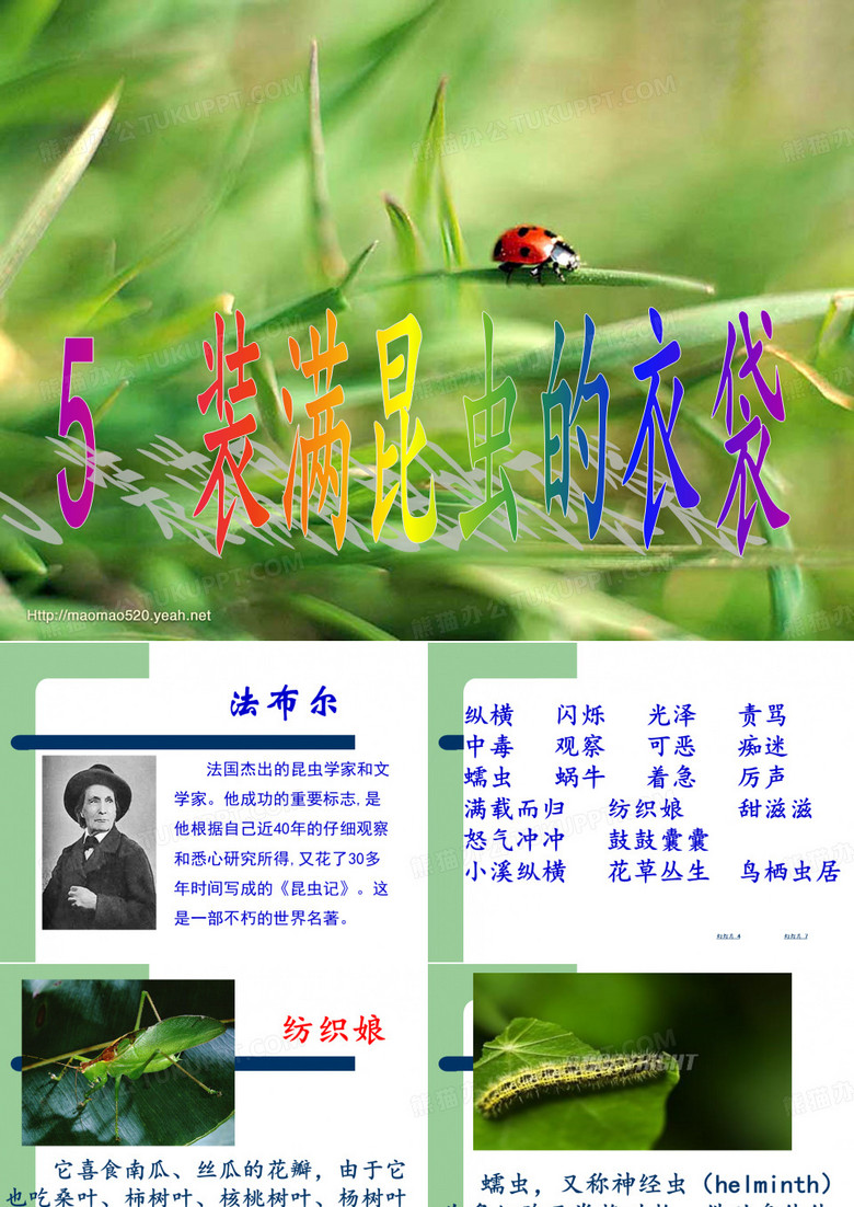5装满昆虫的衣袋