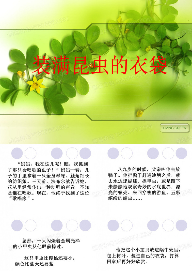 5装满昆虫的衣袋2