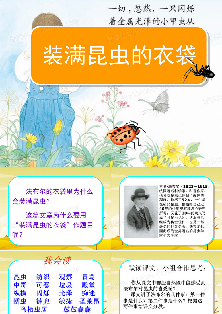 《装满昆虫的衣袋》PPT课件