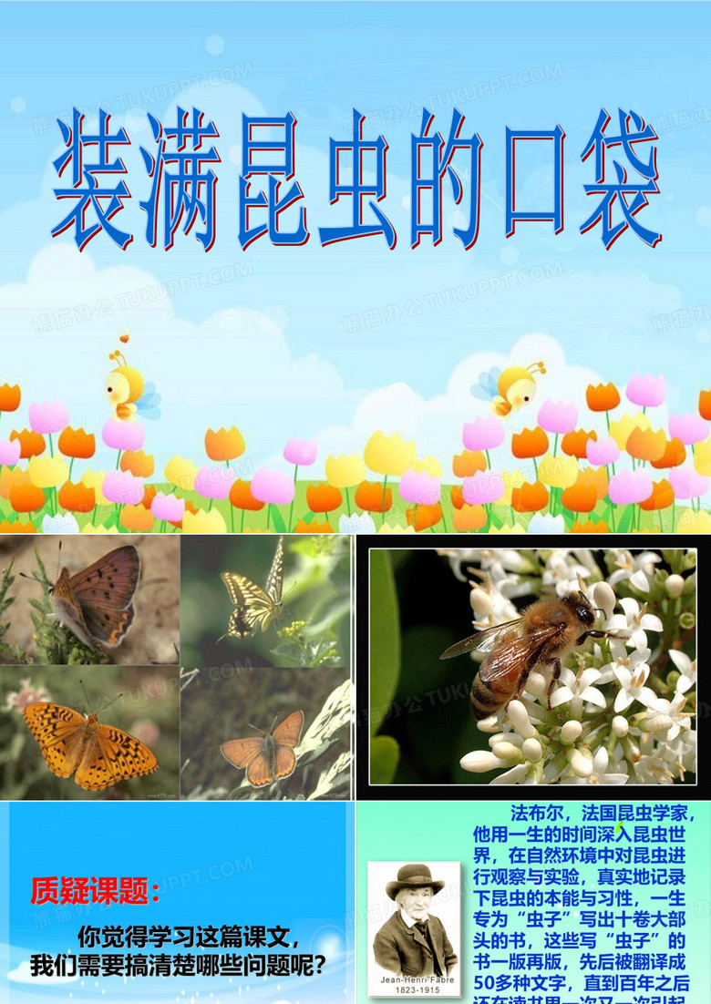 装满昆虫的衣袋__教学课件