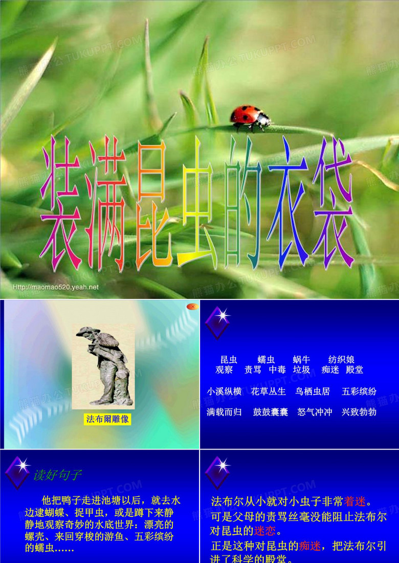 装满昆虫的衣袋81648