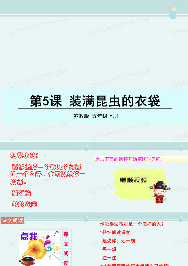 装满昆虫的衣袋 完整版PPT课件