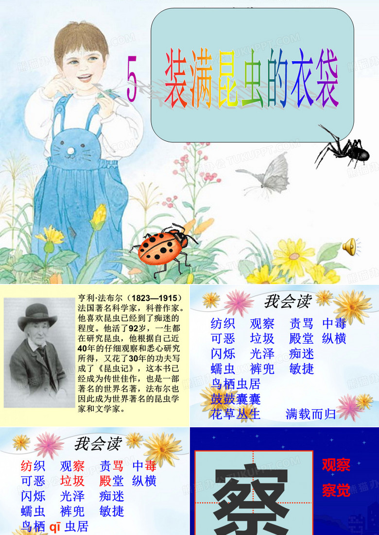 5.装满昆虫的衣袋课件定稿