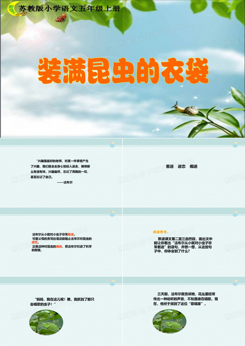 装满昆虫的衣袋 完整课件PPT