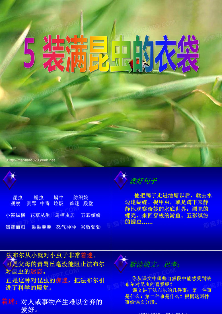 【小学课件】《装满昆虫的衣袋》优质PPT课件5