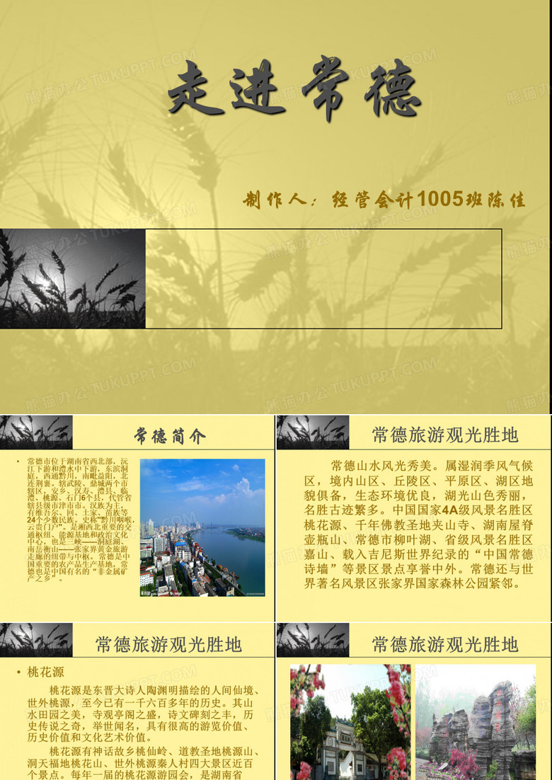 走进常德