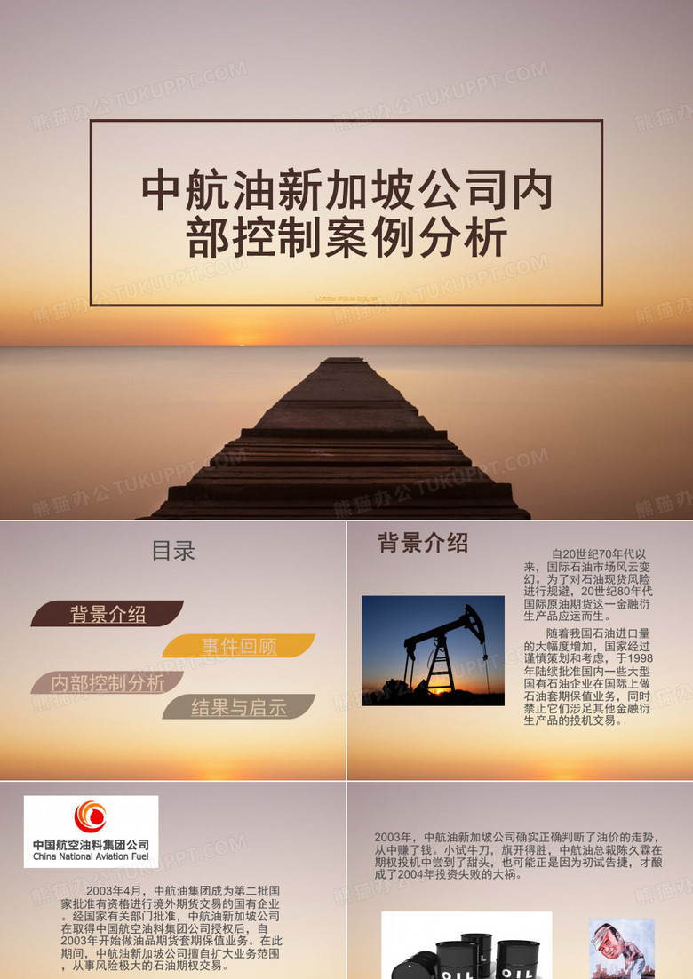 中航油案例分析
