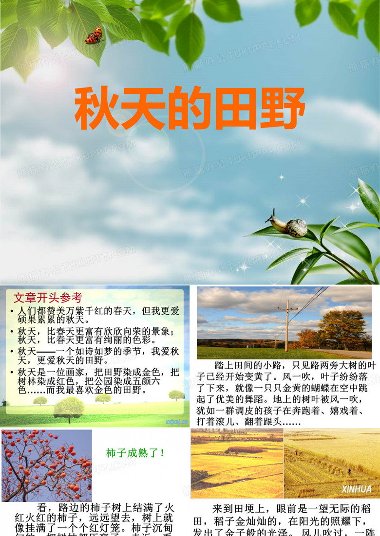 秋天的田野(作文)