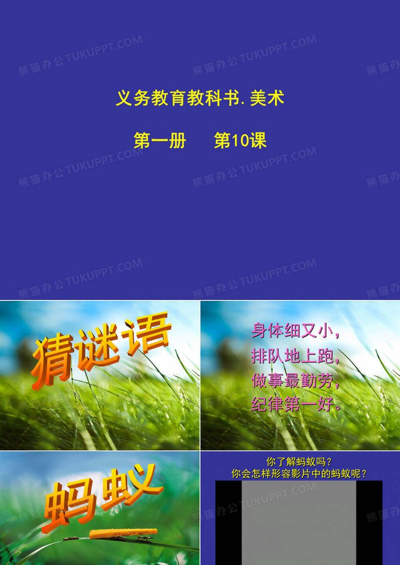 勤劳的小蚂蚁