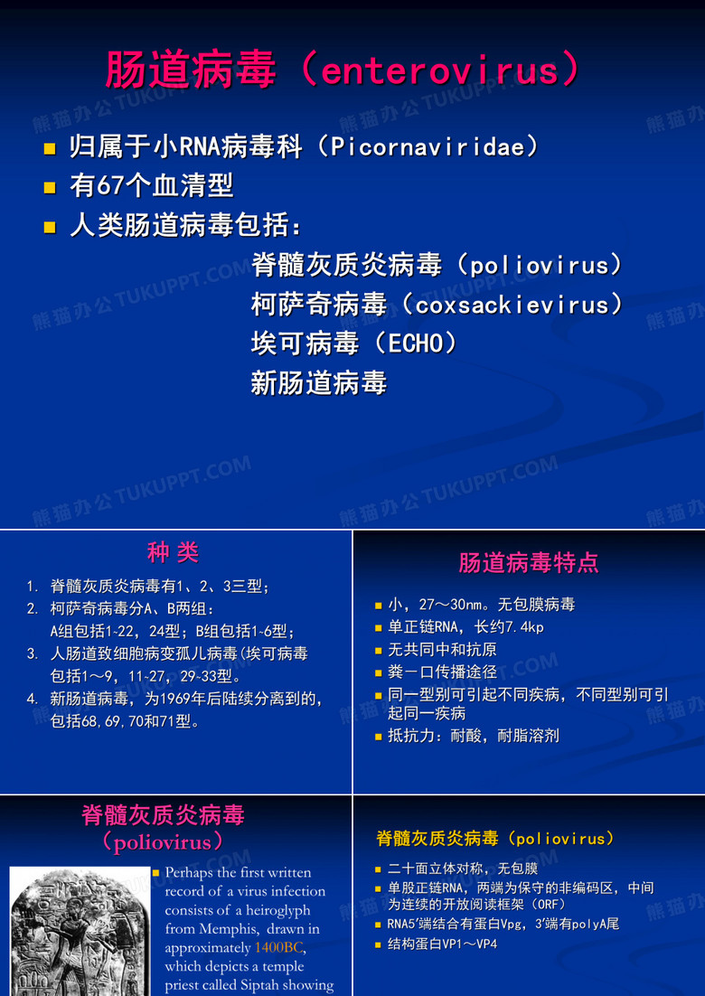 肠道病毒gao