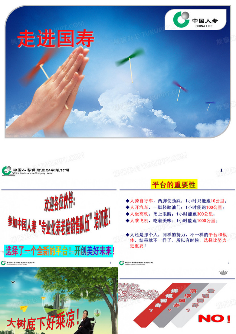 走进国寿