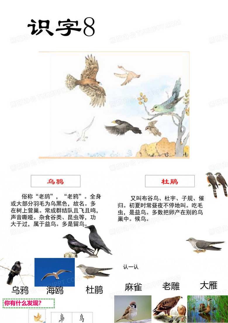 二下识字8