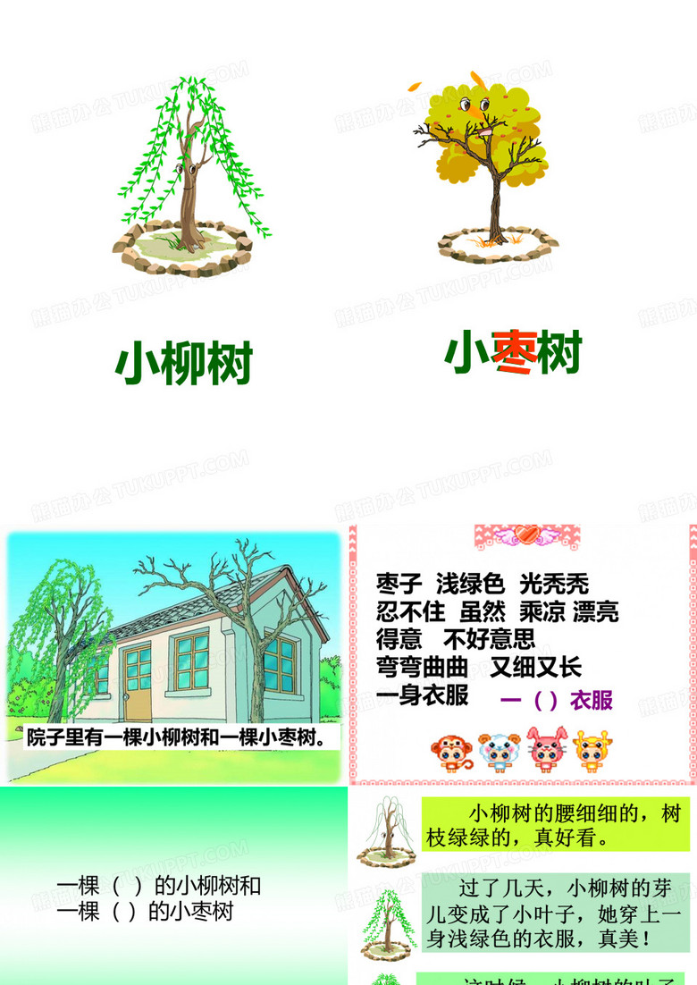 小柳树和小枣树