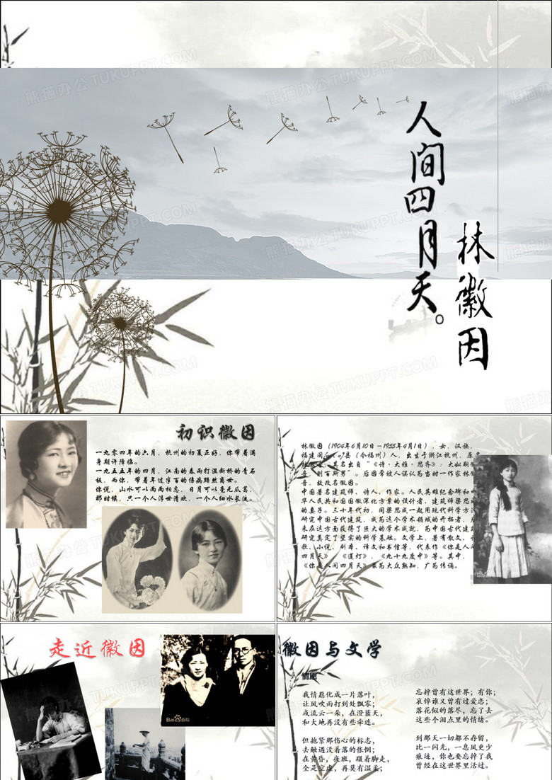 林徽因介绍 PPT