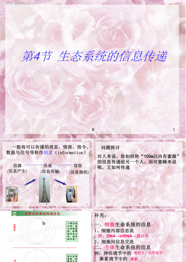 生态系统的信息传递
