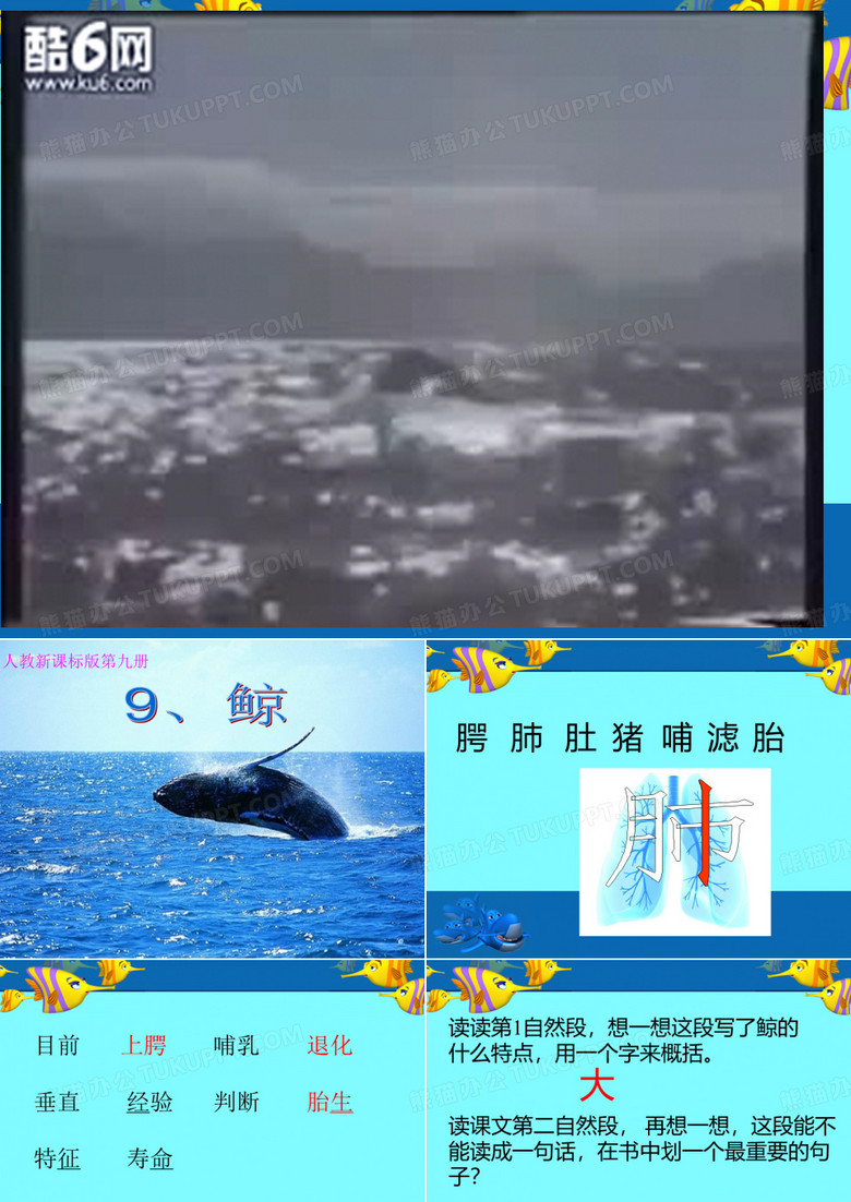 人教版小学语文五年级上册《 9 鲸》 优质课教学课件_0