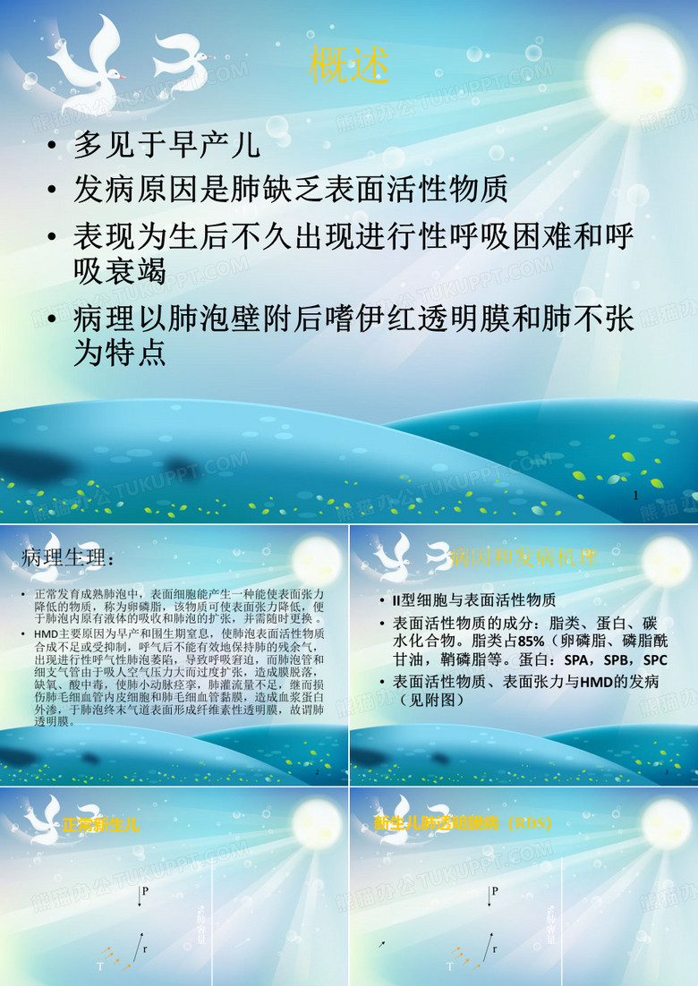 新生儿肺透明膜病课件
