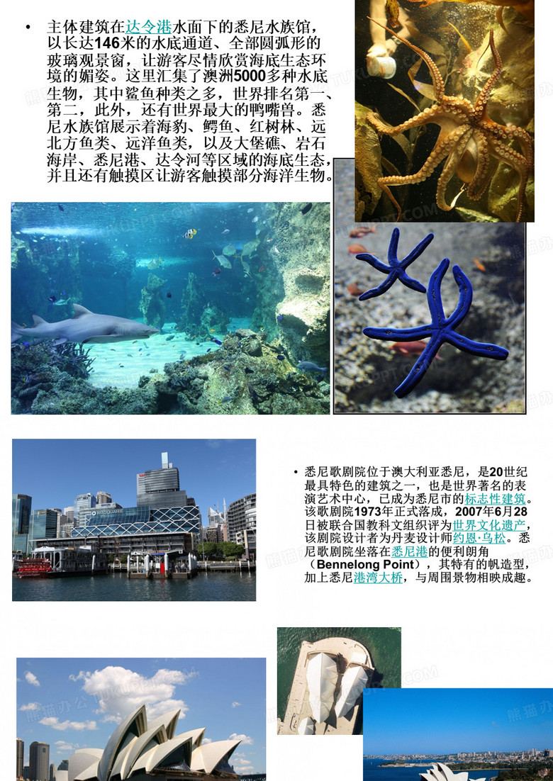 悉尼皇家植物园