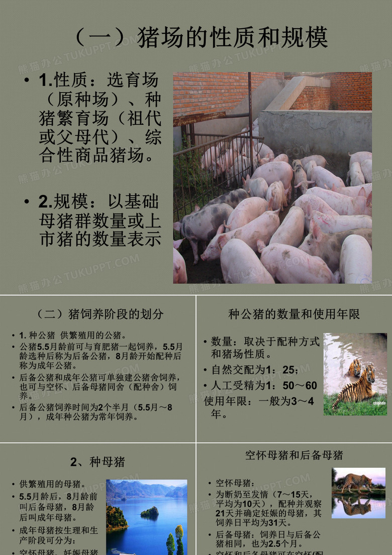 猪场建筑设计