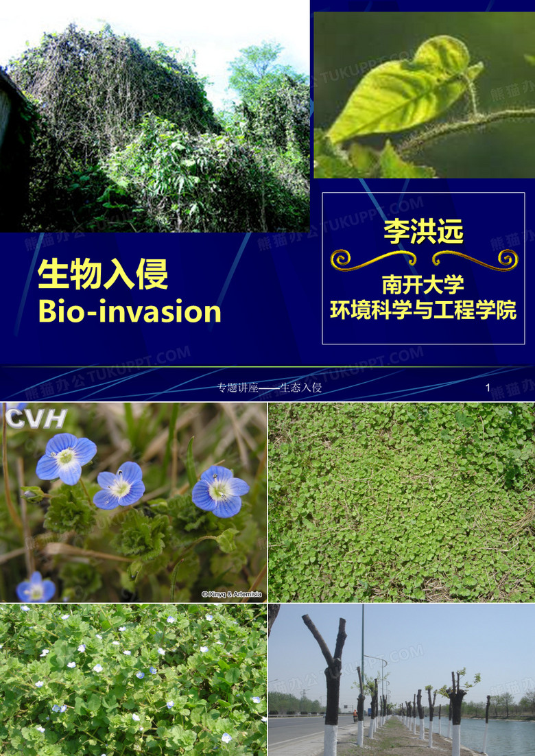 生物入侵