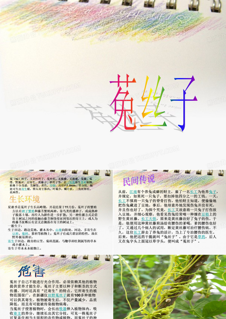 入侵生物