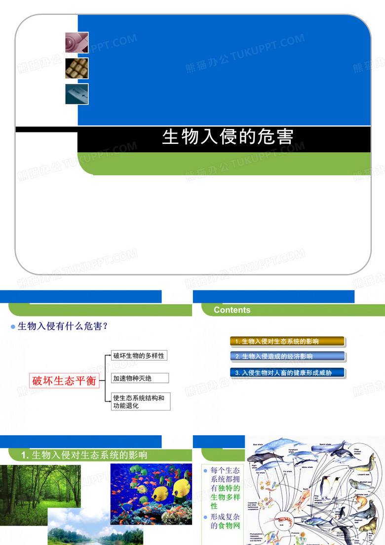 生物入侵的危害+