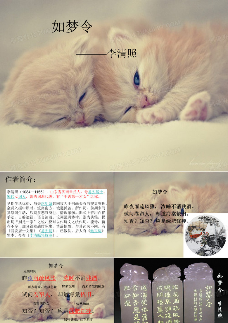如梦令 昨夜雨疏风骤