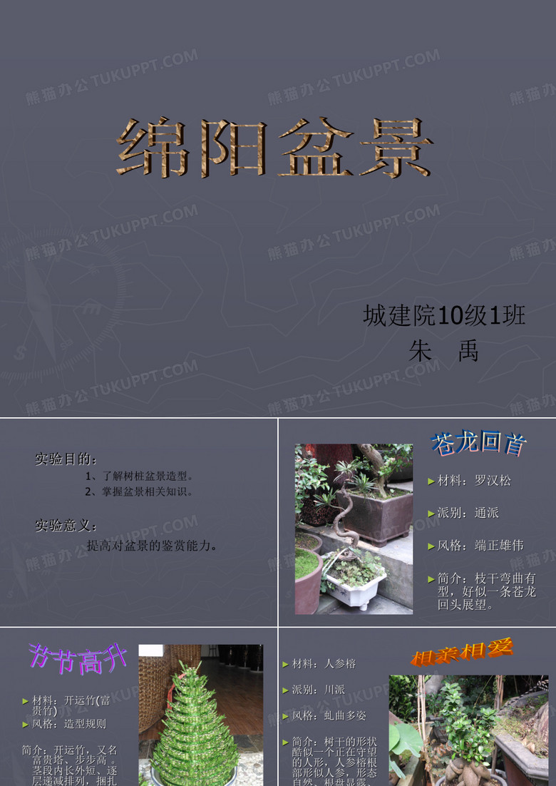 绵阳盆景ppt
