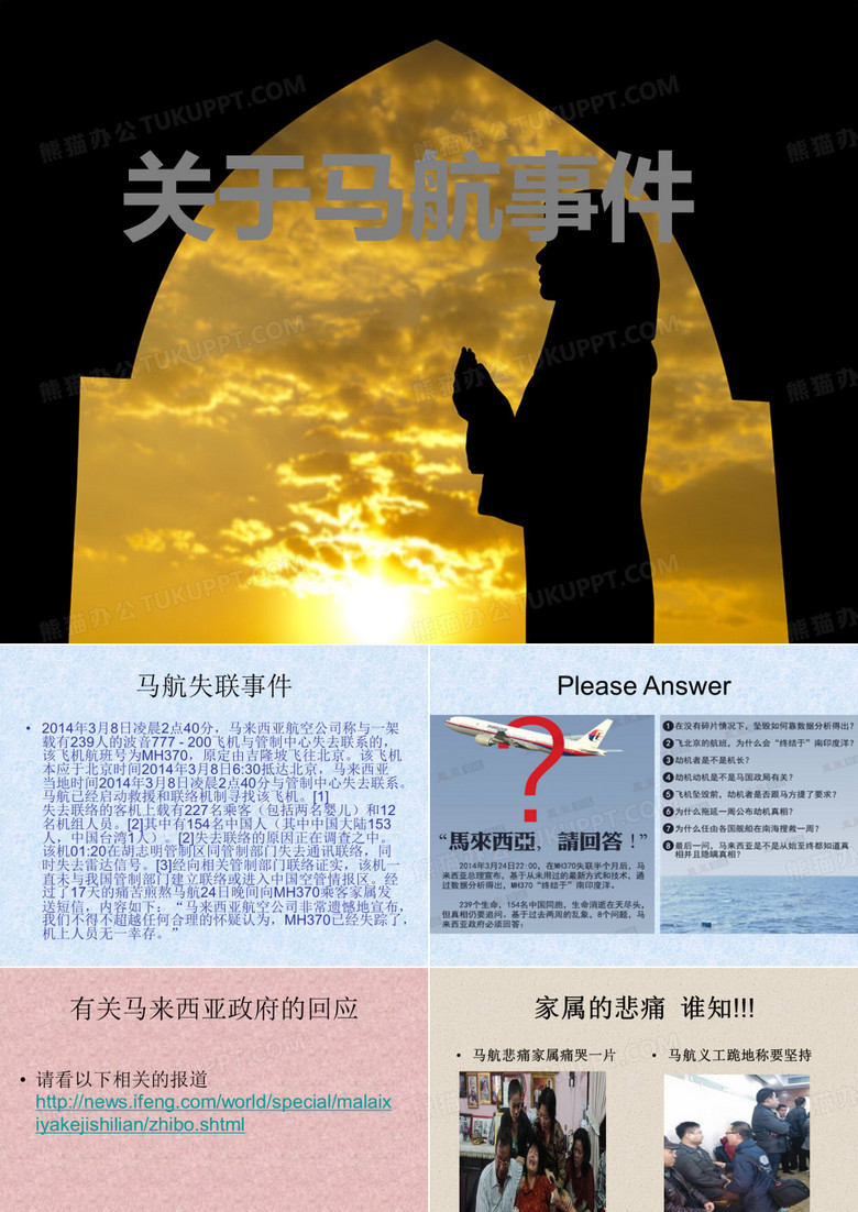 关于马航事件