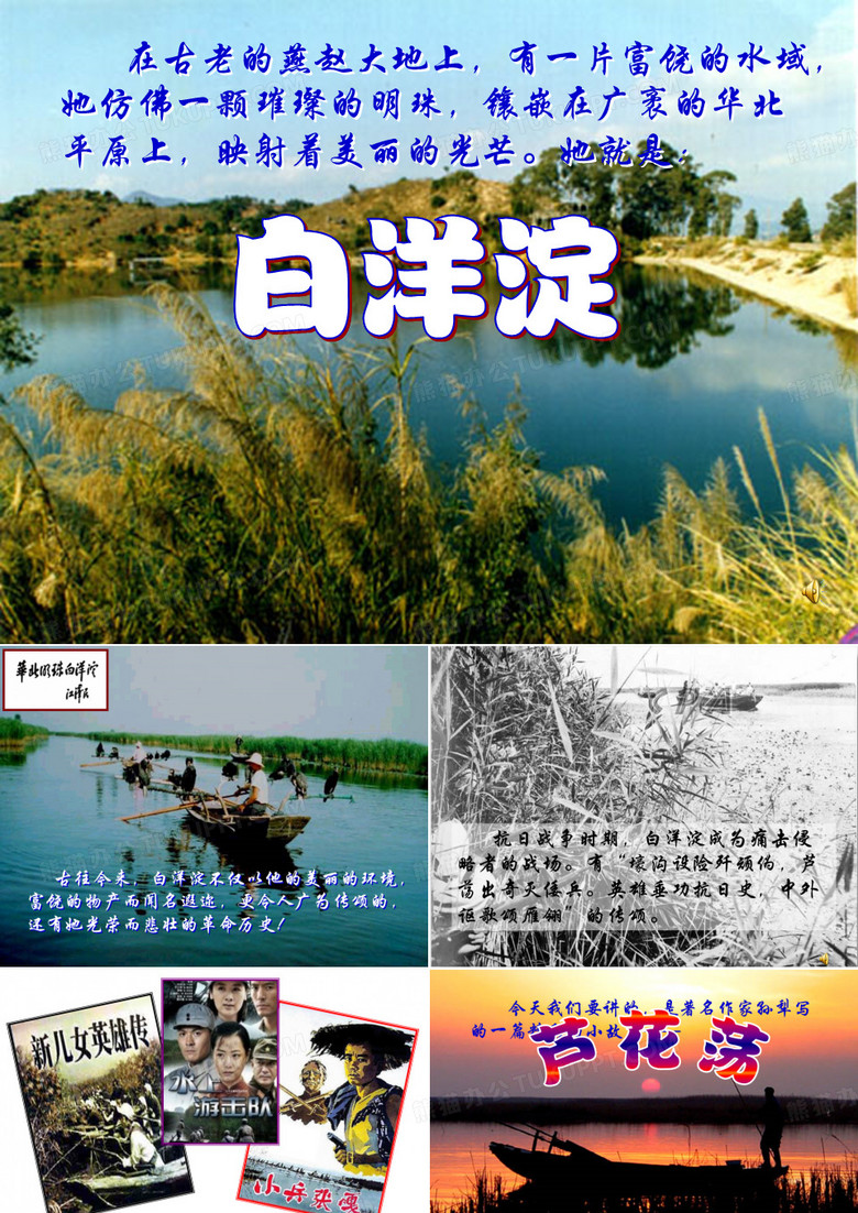 芦花