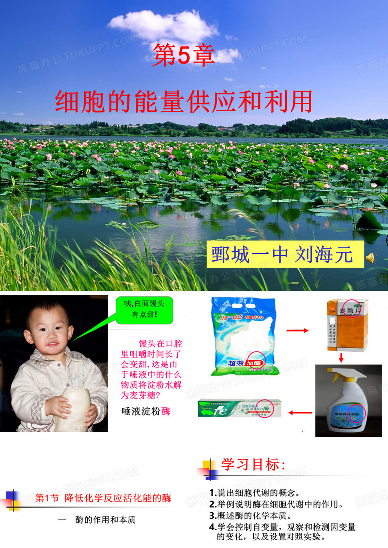 《酶的作用和本质》