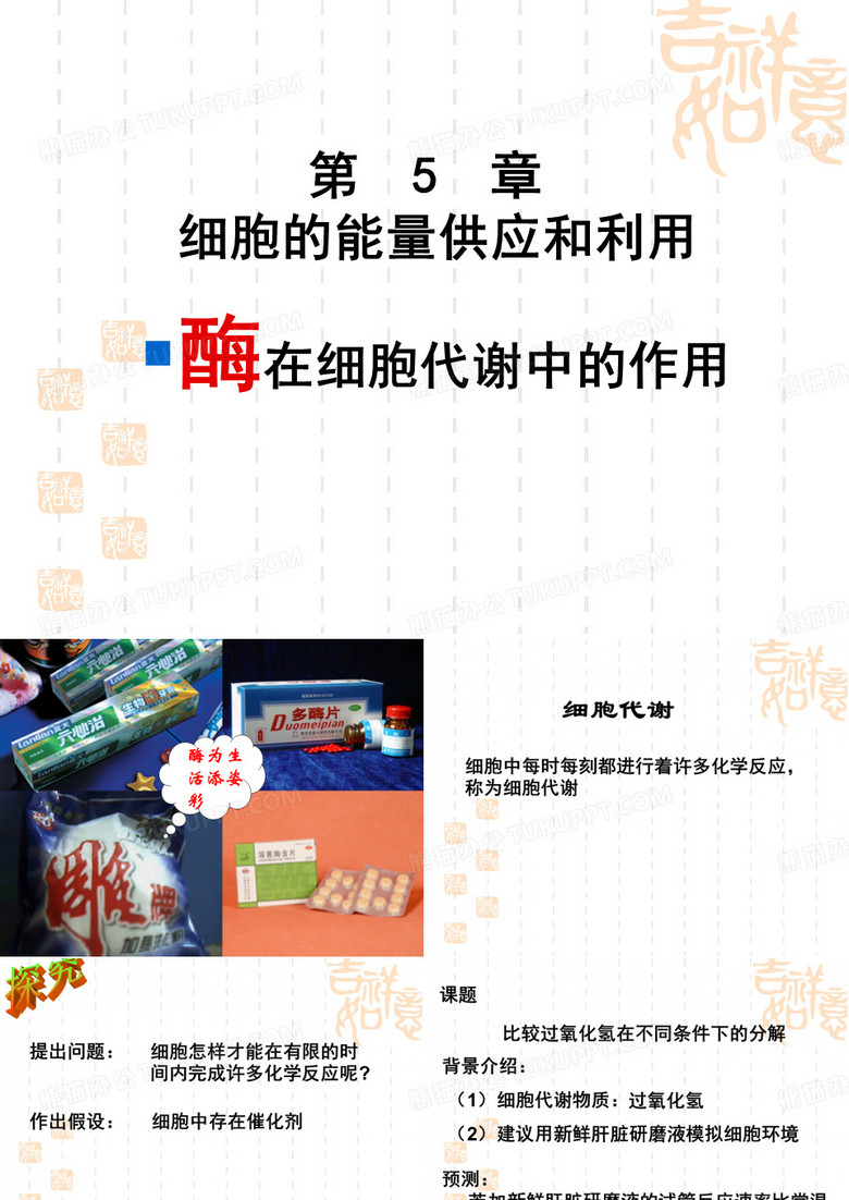 酶的作用和本质