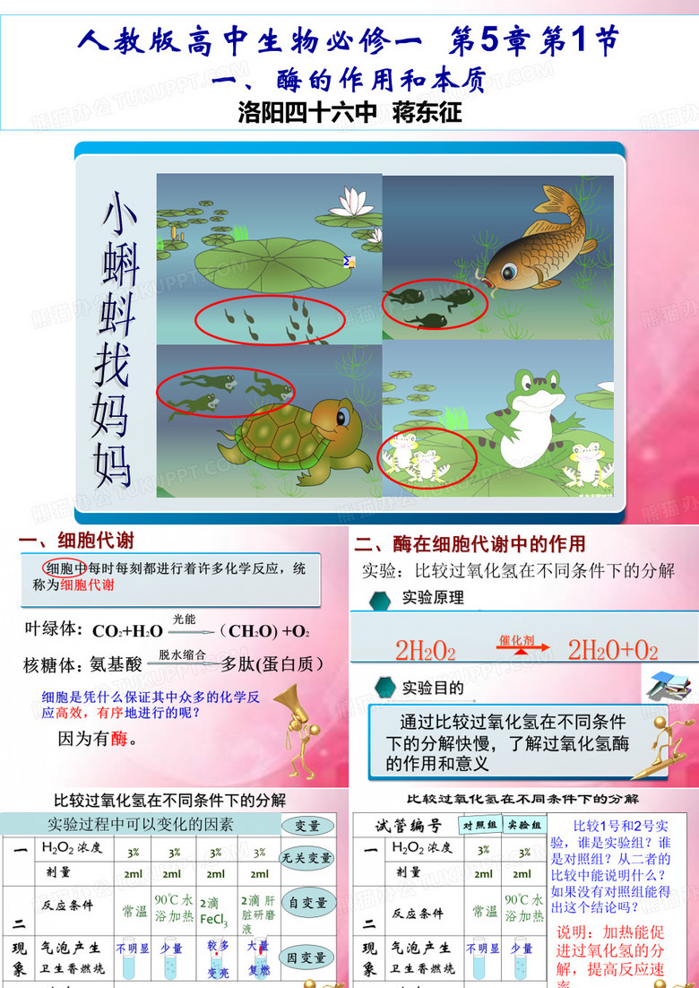 酶的作用和本质