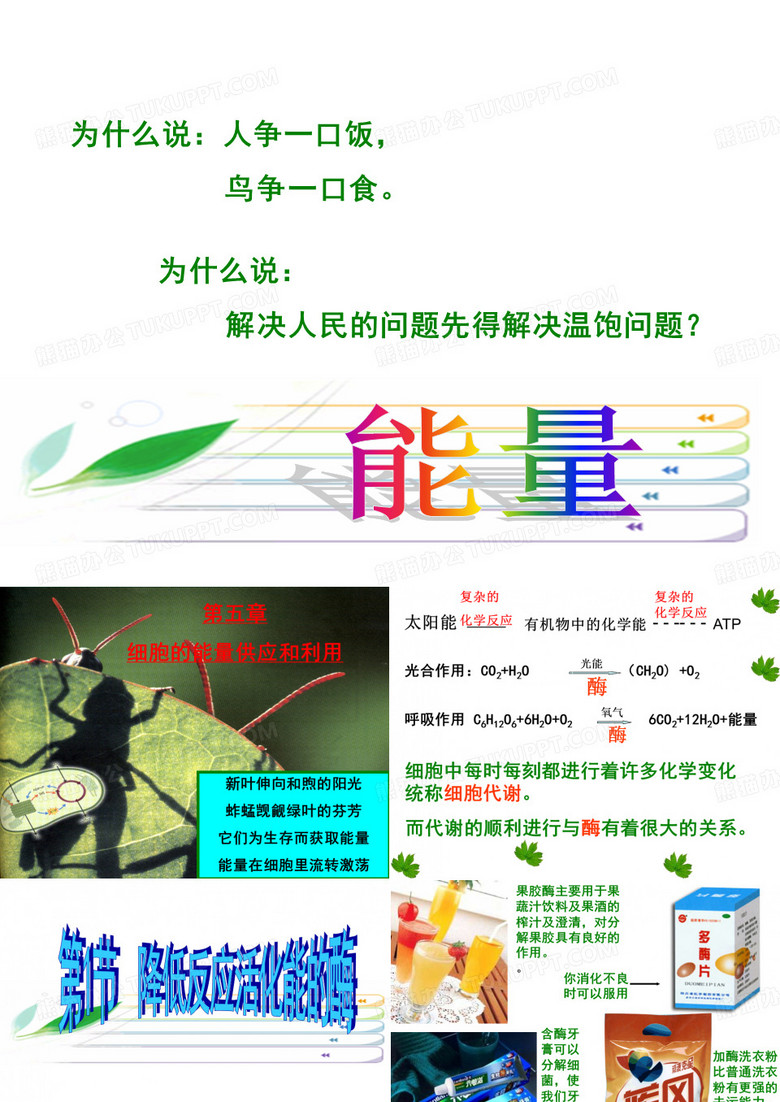 酶的作用和本质