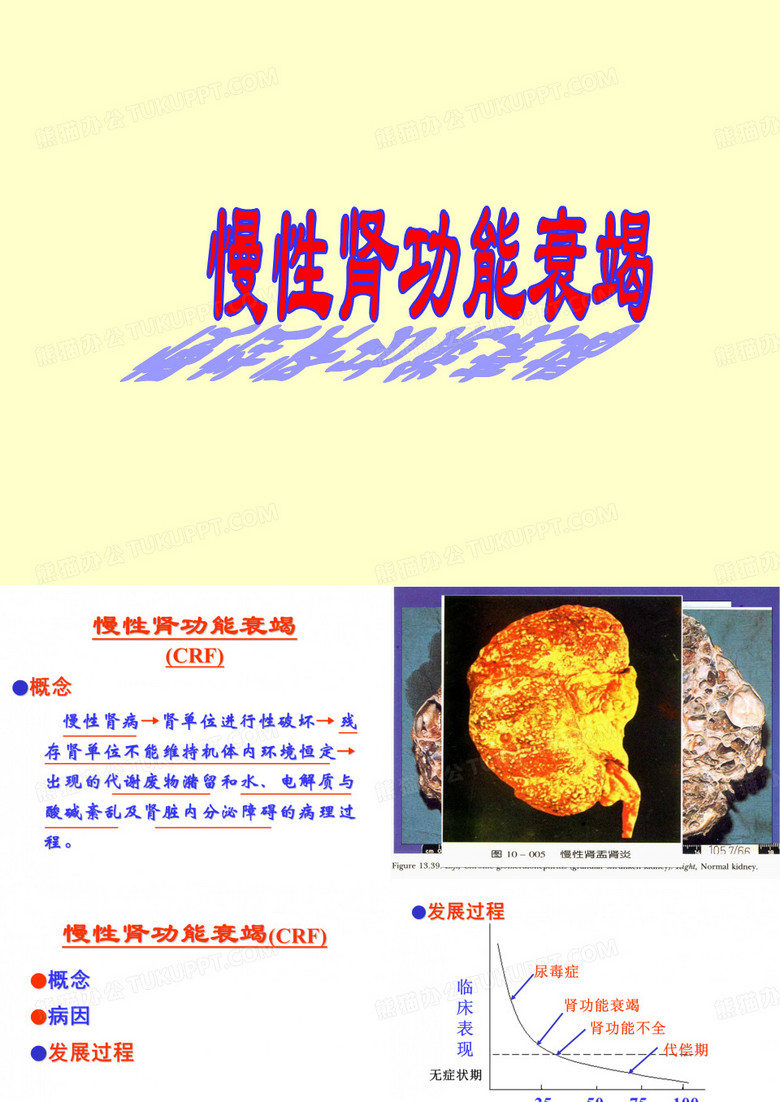 慢性肾衰