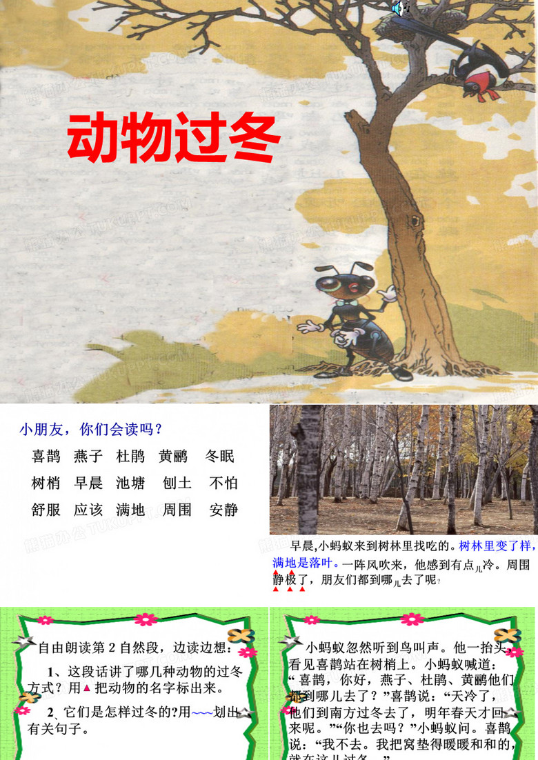 动物过冬课件