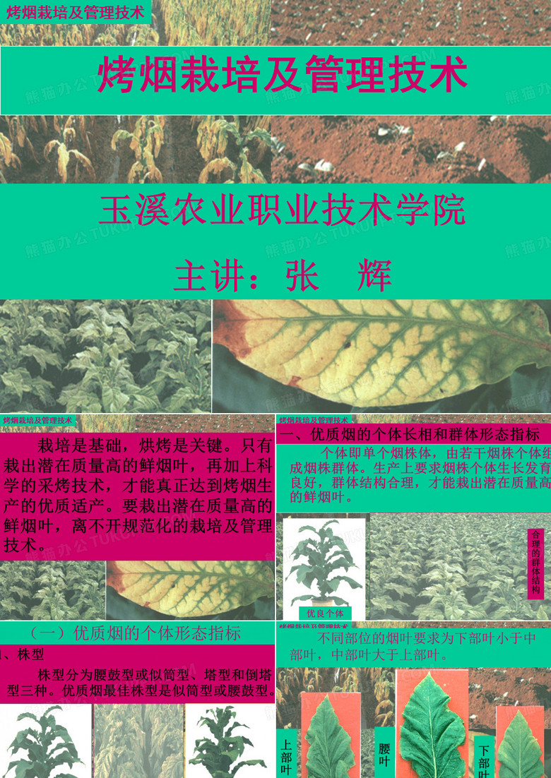 云南烤烟栽培及管理技术