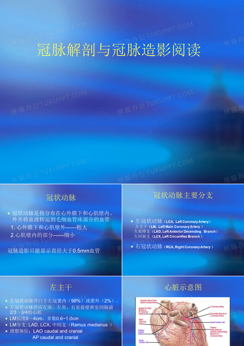 冠脉解剖与冠脉造影阅读