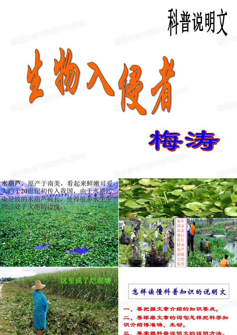 生物入侵者课件