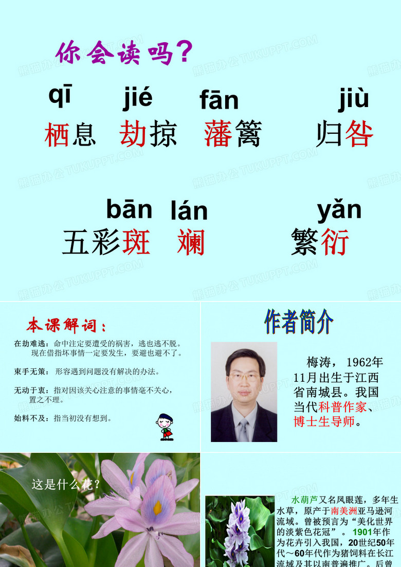 生物入侵者yong