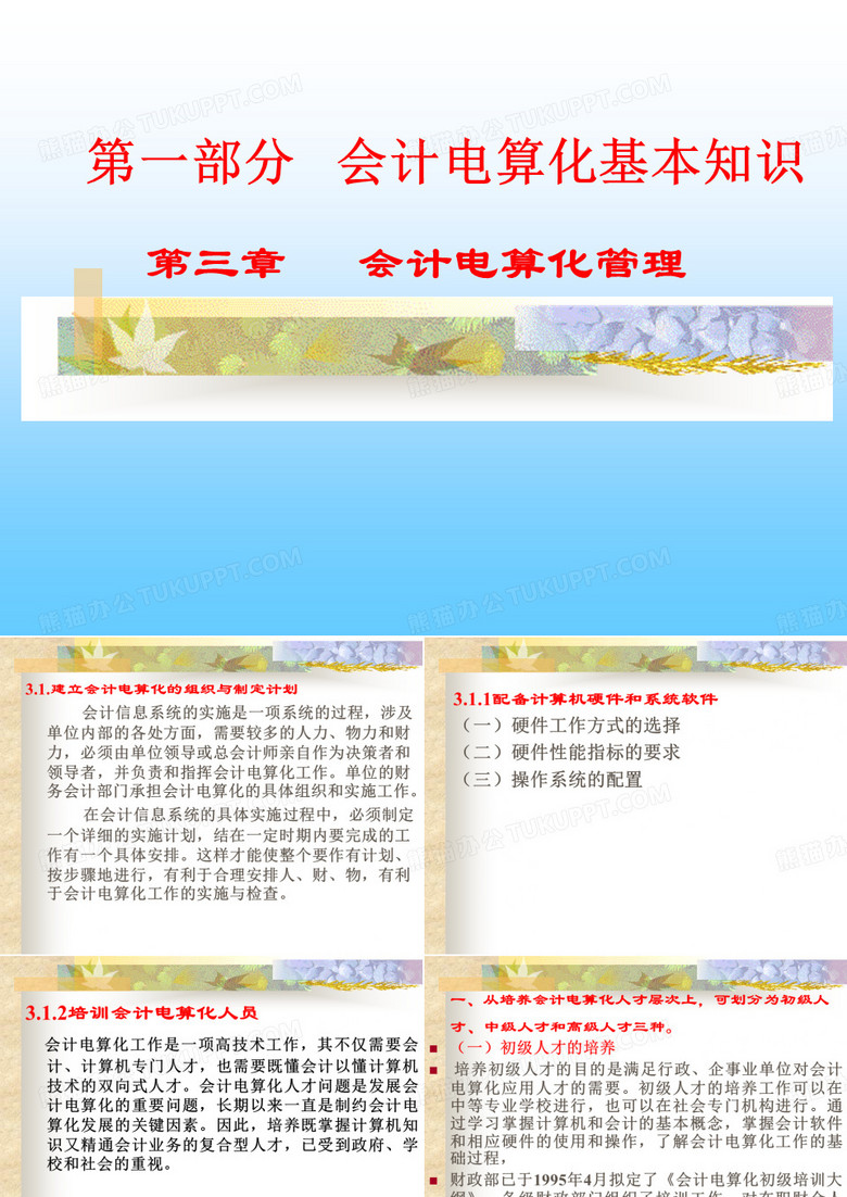 会计电算化管理