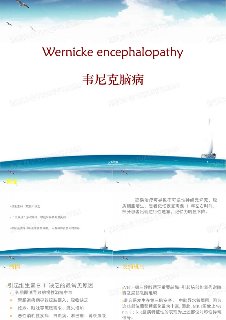 韦尼克脑病  ppt课件