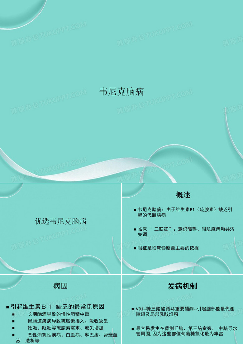 韦尼克脑病专项文档